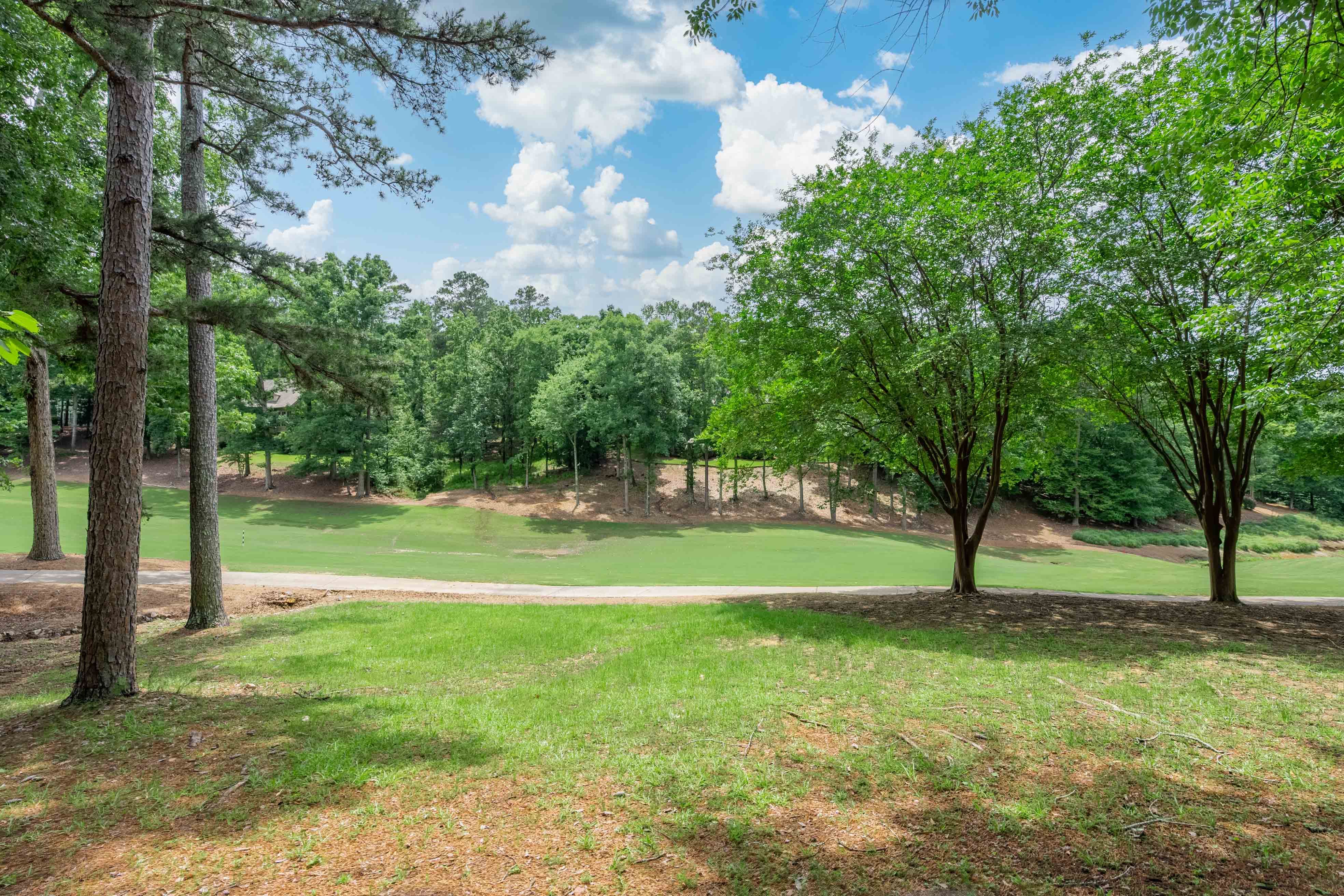 1101 Scull Shoals Drive image 19